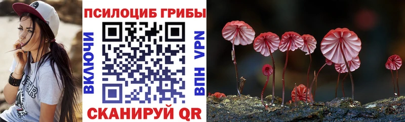 Галлюциногенные грибы Cubensis  Купить где  Богданович 